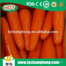 Рыночная цена свежей моркови